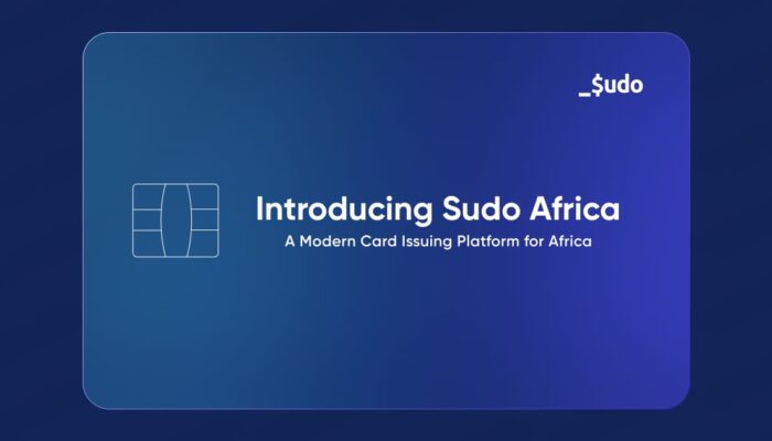 Sudo Africa programmable financial infrastructure for African businesses